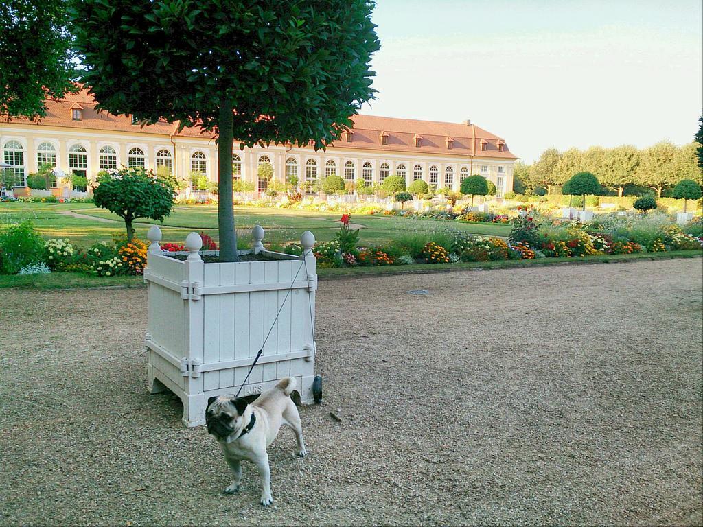 Der Platengarten Ansbach Ngoại thất bức ảnh